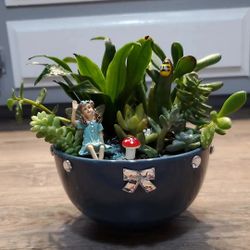 Succulent Fairy Gardens