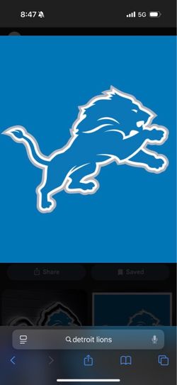 Lions vs Cardinals parking pass