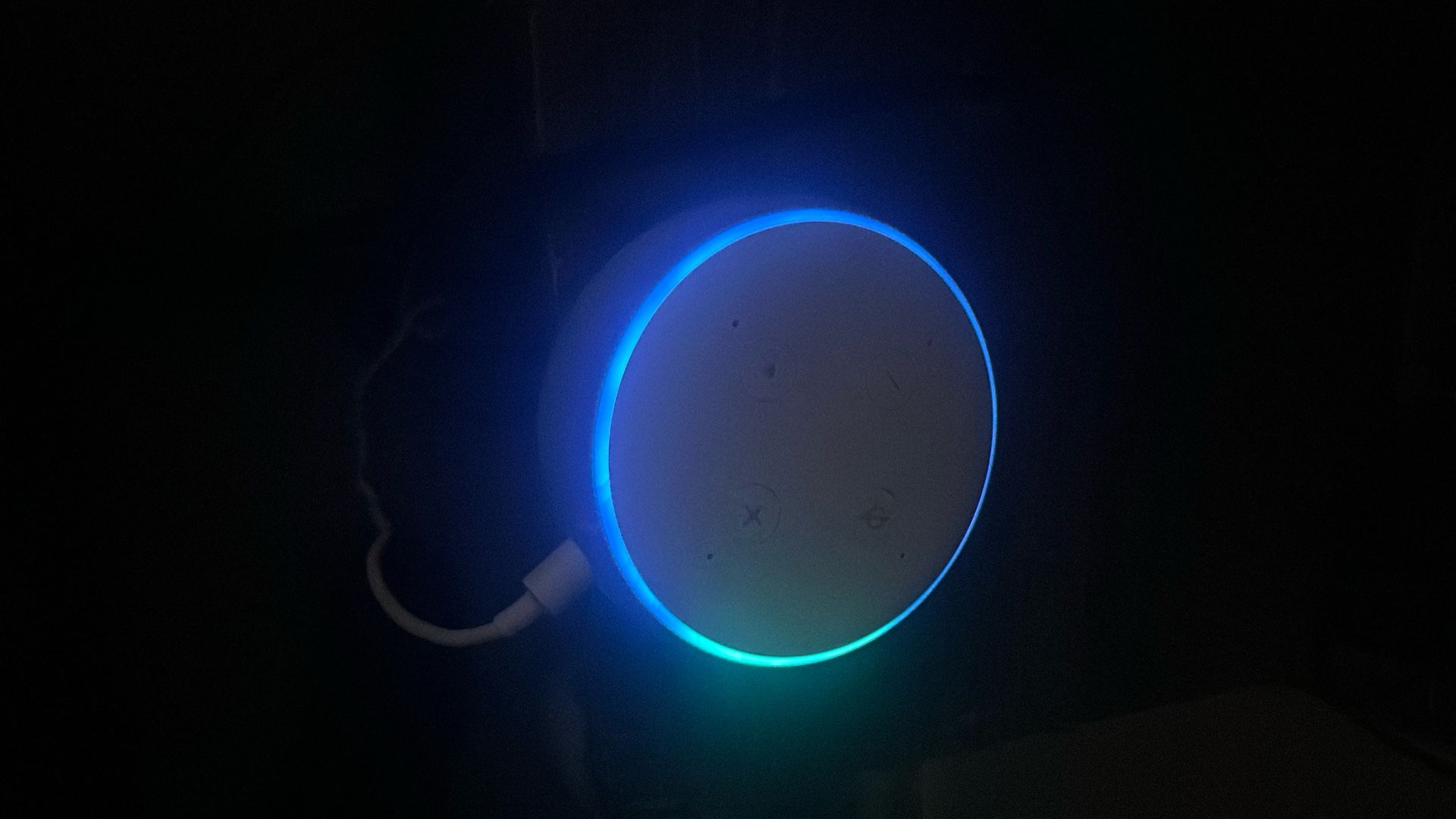 Alexa For Sale