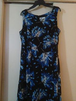 Size 14 W Blue and Black Floral Dress 