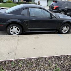2000 Ford Mustang