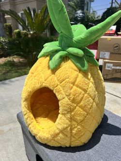 Pineapple Cat House $15 I Have 6