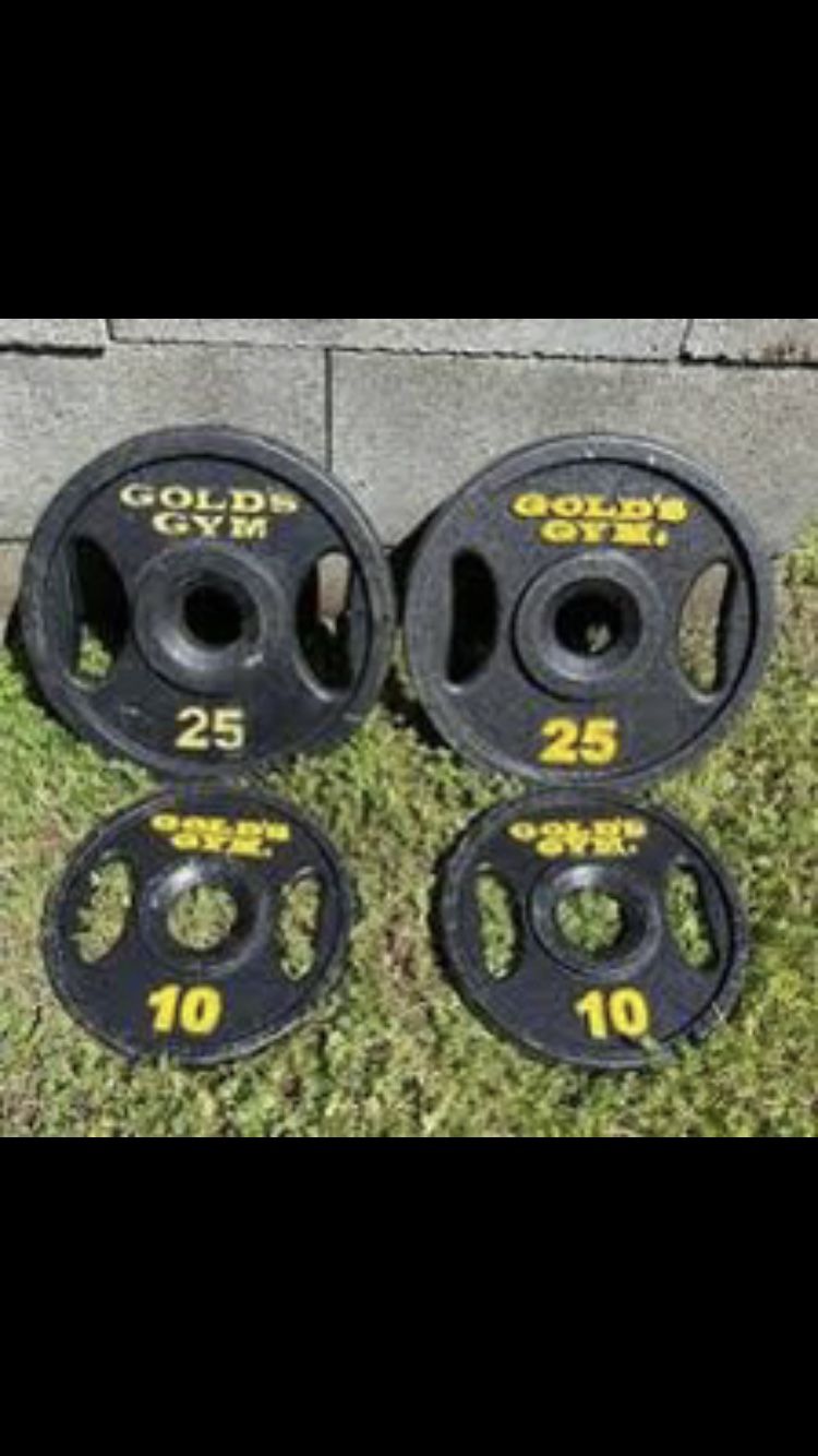 Pair of 10 & 25 Lb Golds Gym Gripper Plates