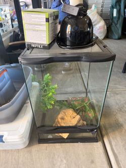 reptile cage