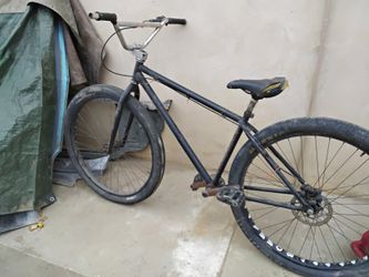 29 BMX Specialied