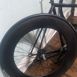 Rear Carbon 88