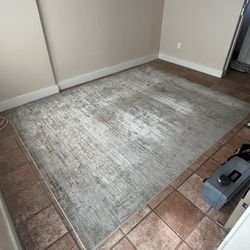 HUGE Area Rug  8’x10’