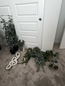 Fake Plants/Decor