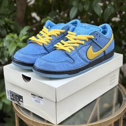 Nike SB Dunk Low Powerpuff Girls “Bubbles” Size 12
