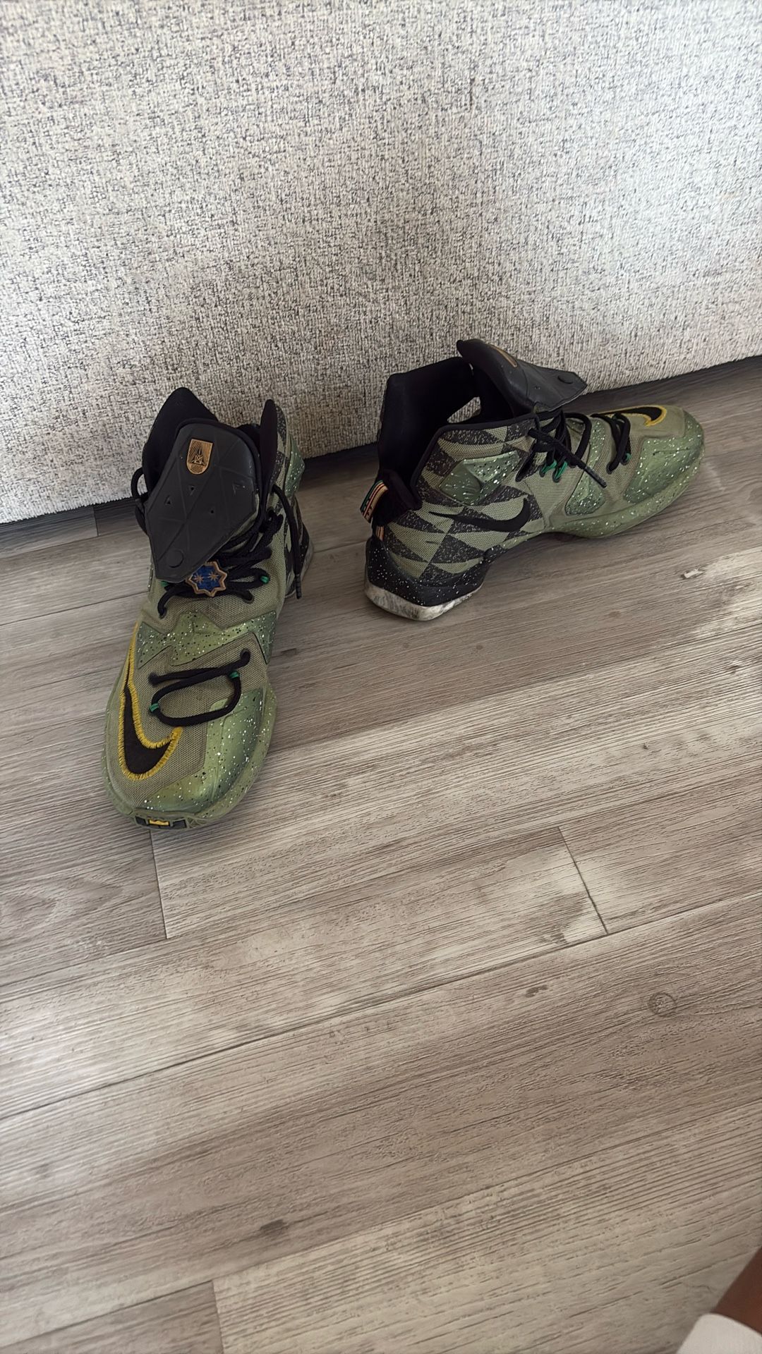 Nike LeBron Basketball Shoes