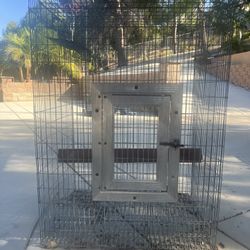 Bird Cage 