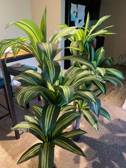 Artificial palm trees