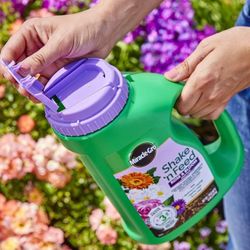 Miracle-gro Shake ‘N Feed Rose & Bloom Plant Food Fertilizer  4.5 Lbs (6-pack)