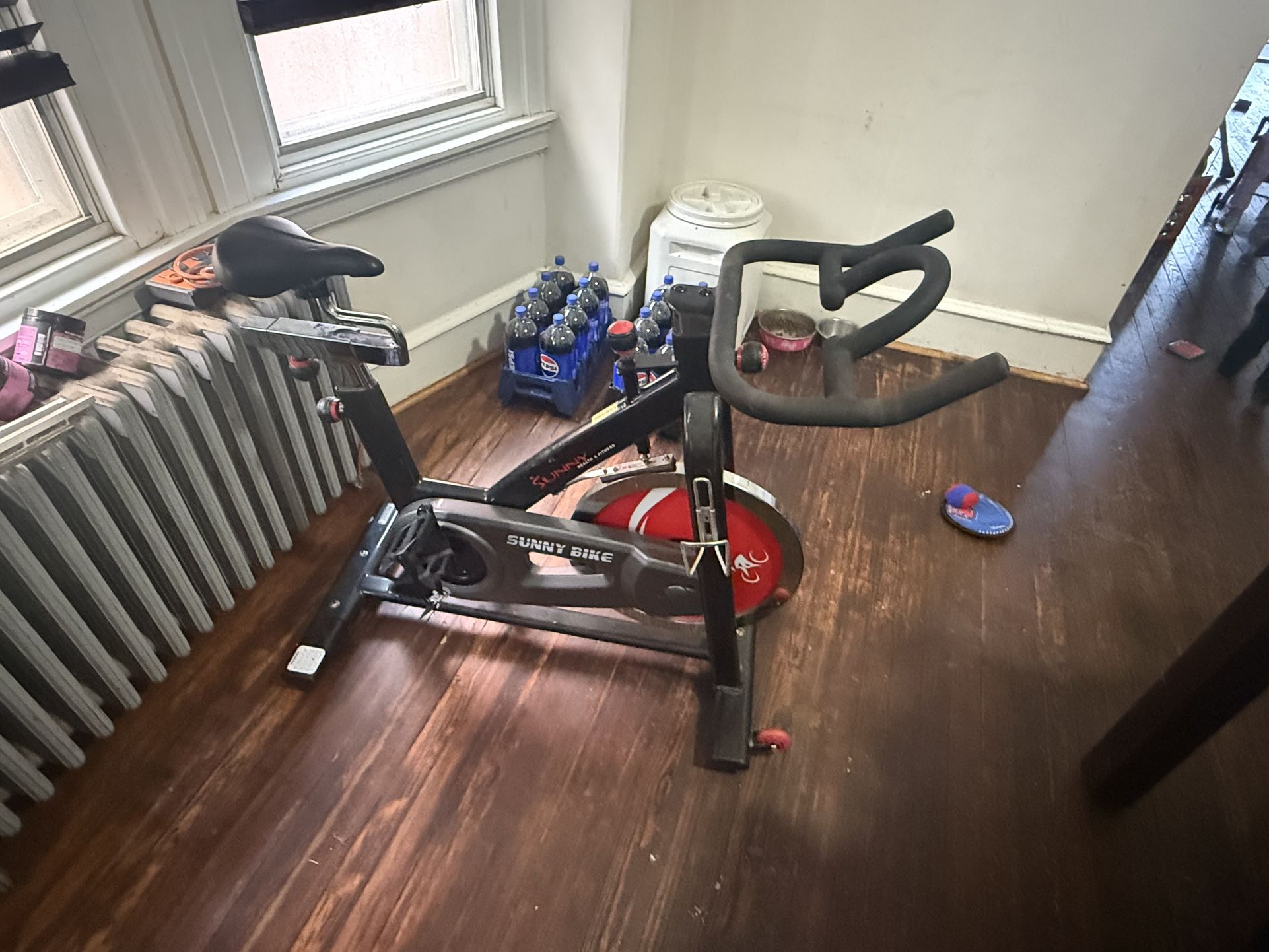 Sunny Exercise Bike