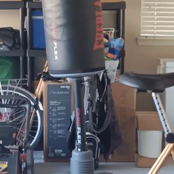 Standing Punching Bag