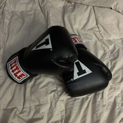 Boxing Gloves 12oz