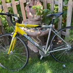 Giant OCR 3