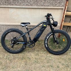 Freesky E Bike 48v Fat Tire Peddle Bike