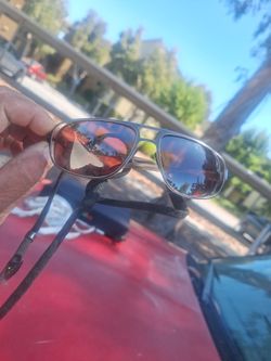 Maui Jim Sunglasses