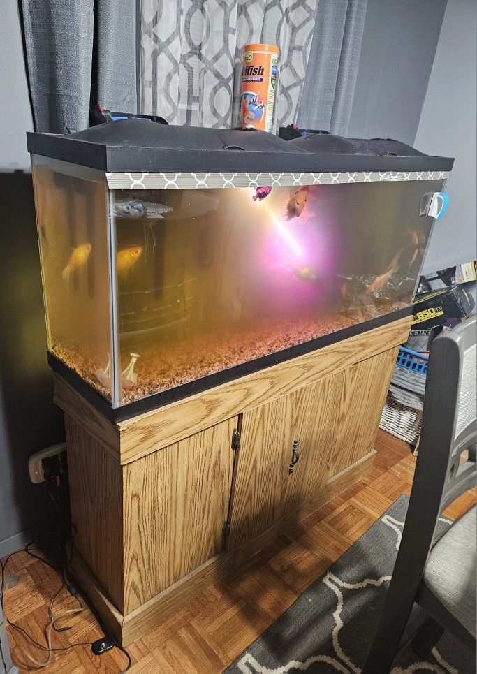 40-50 Gallon Fish Tank With Stand