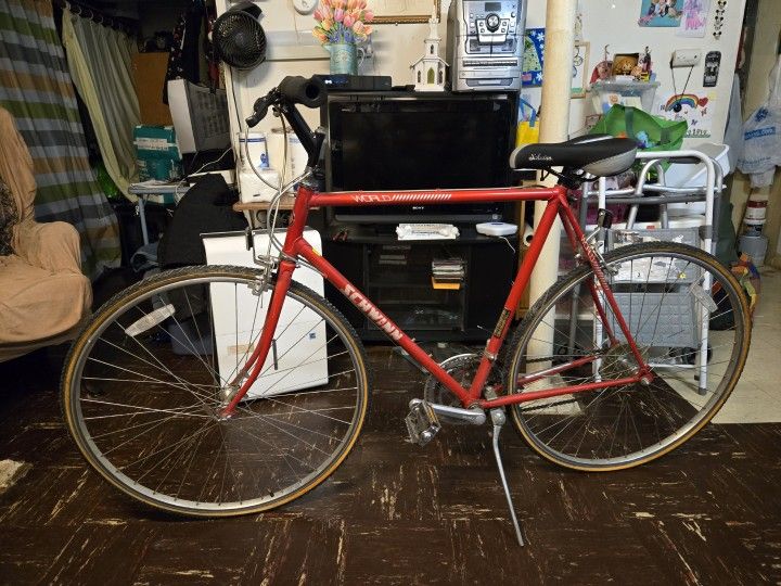 Schwinn World Traveler 13 Speed
