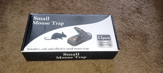 Small Mouse Trap