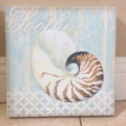 Sea Shell Art 