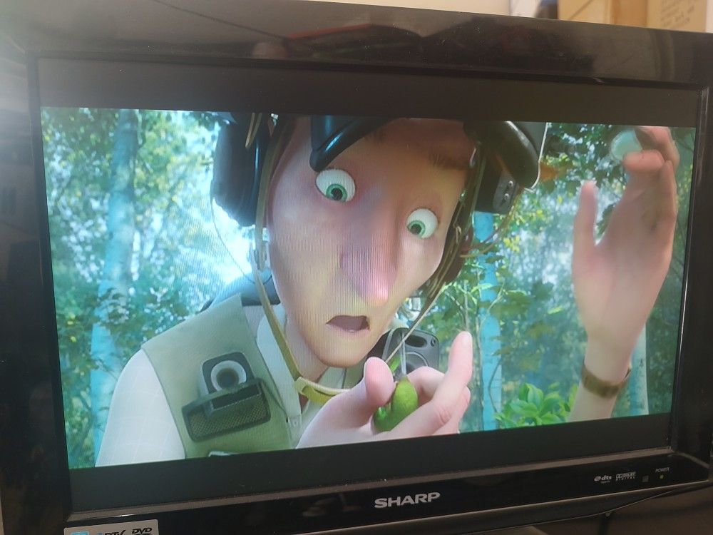 Tv 19 Inch Sharp LCD Works