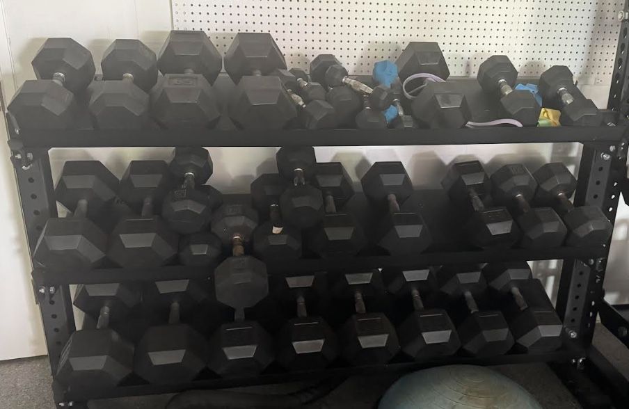 Rogue Dumbbells set with Rack $2,000