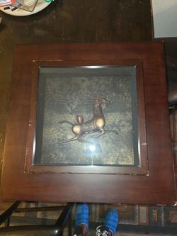 Flying Horse of Gansu in shadow box