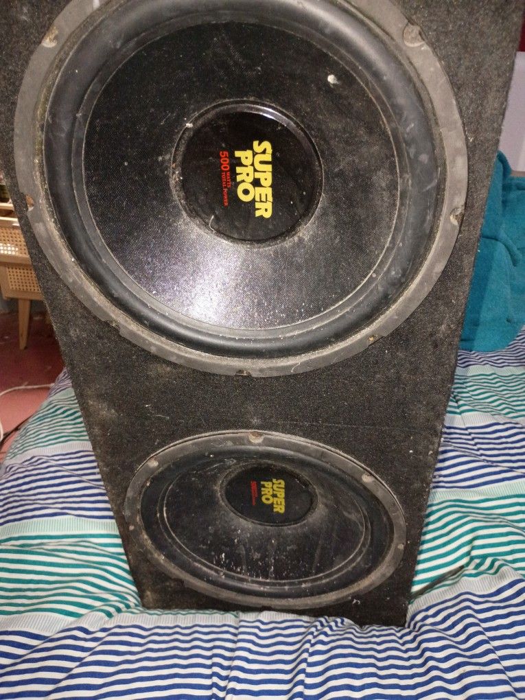 Bass Speaker