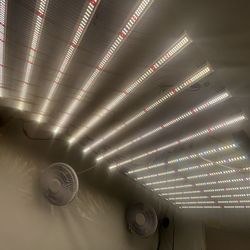 🍃Grow Set Up/equipment 🍃