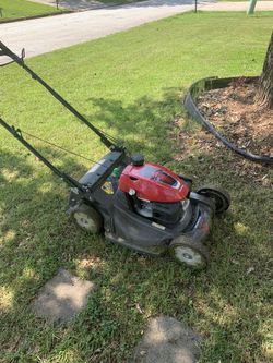 Grass Cut