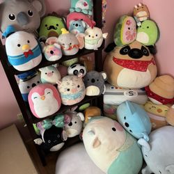 Squishmallows All For sale!