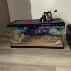 Bearded Dragon/fish Tank 