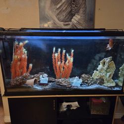 60 Gallon Tall Aquarium Fish Tank