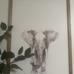 Animal Wall Decor