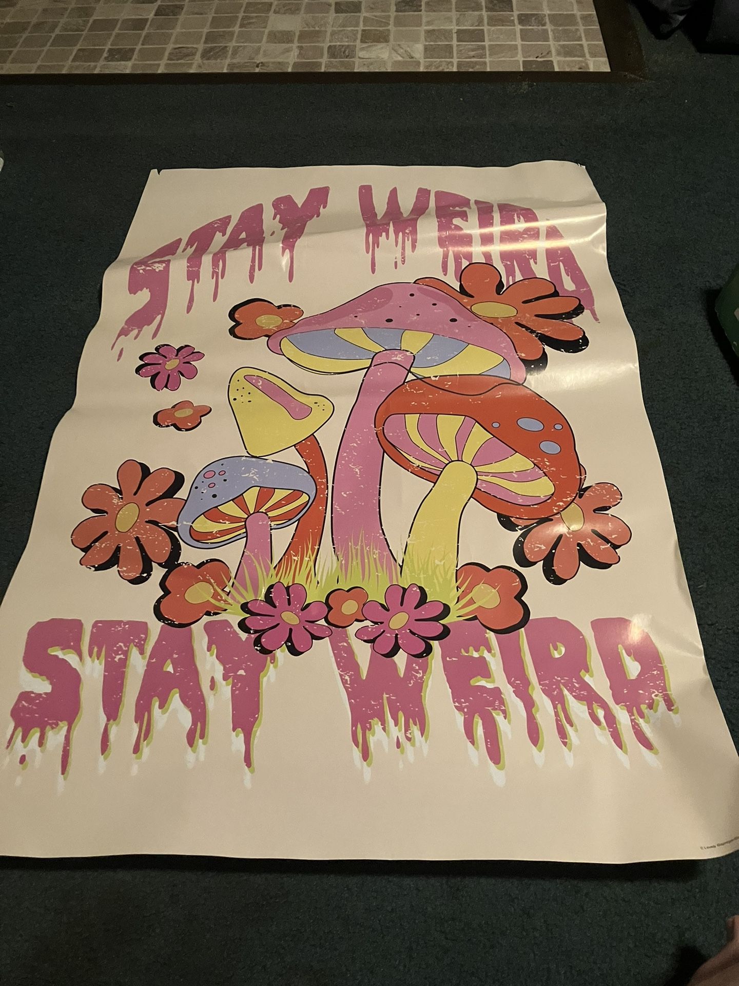 Trends International Stay Weird Mushrooms Wall Poster, 33x22