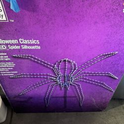 Halloween Spider 