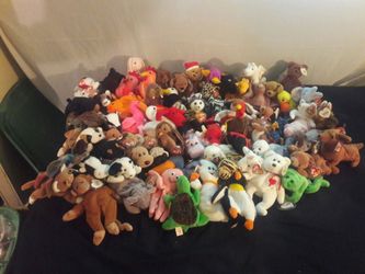 Pvc pellet retired beanie babies for sale