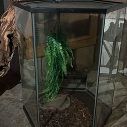 Reptile Enclosure 