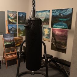 Punching Bag And Stand Combo (OBO)