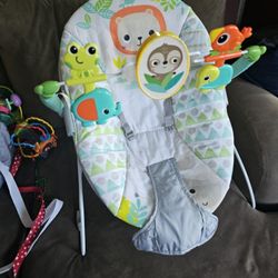 Baby Bouncer