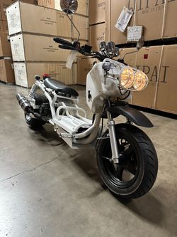50cc Honda Ruckus Clone | Fat Tire | Fully Automatic Street Legal