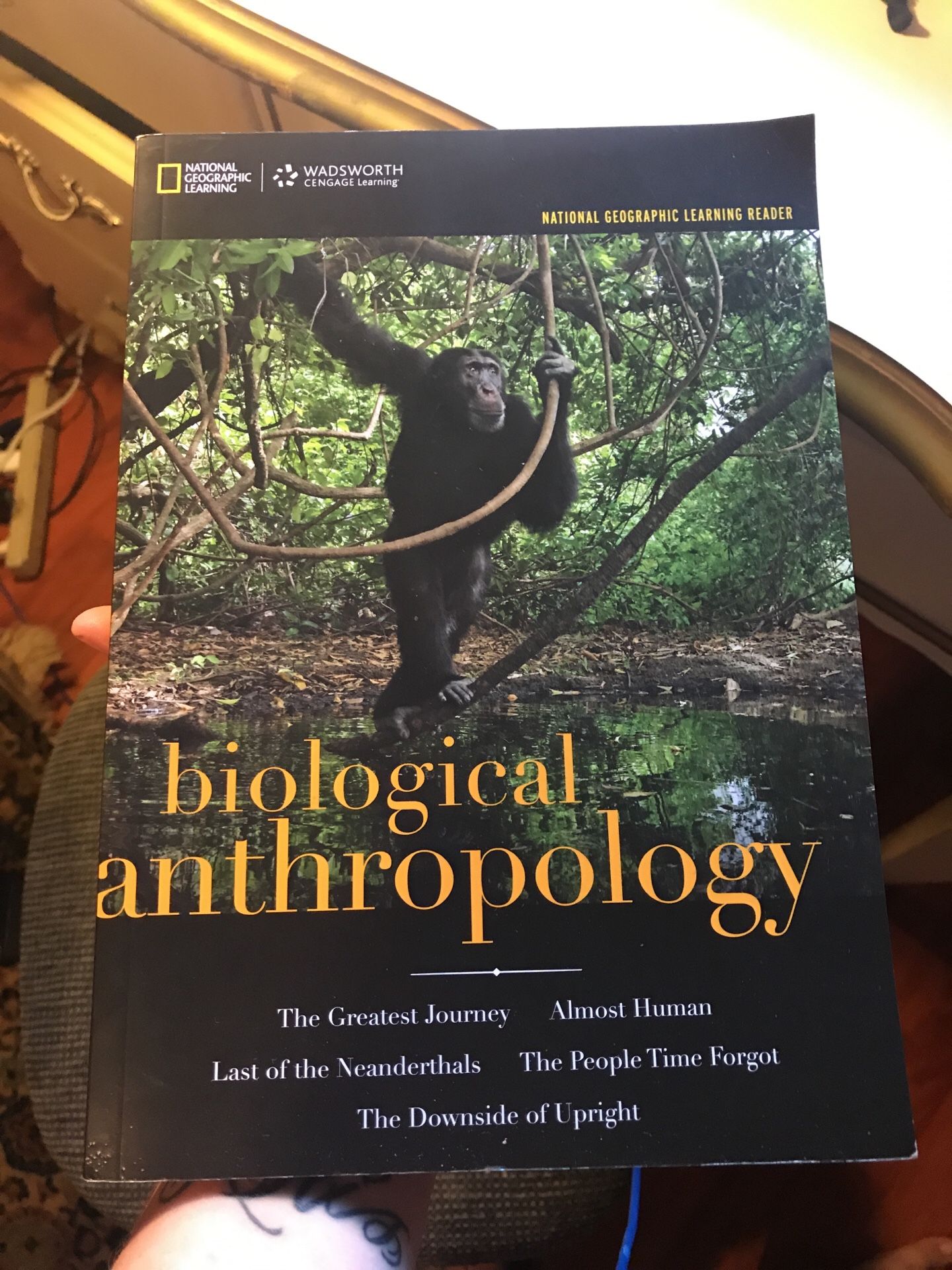 biological anthropology