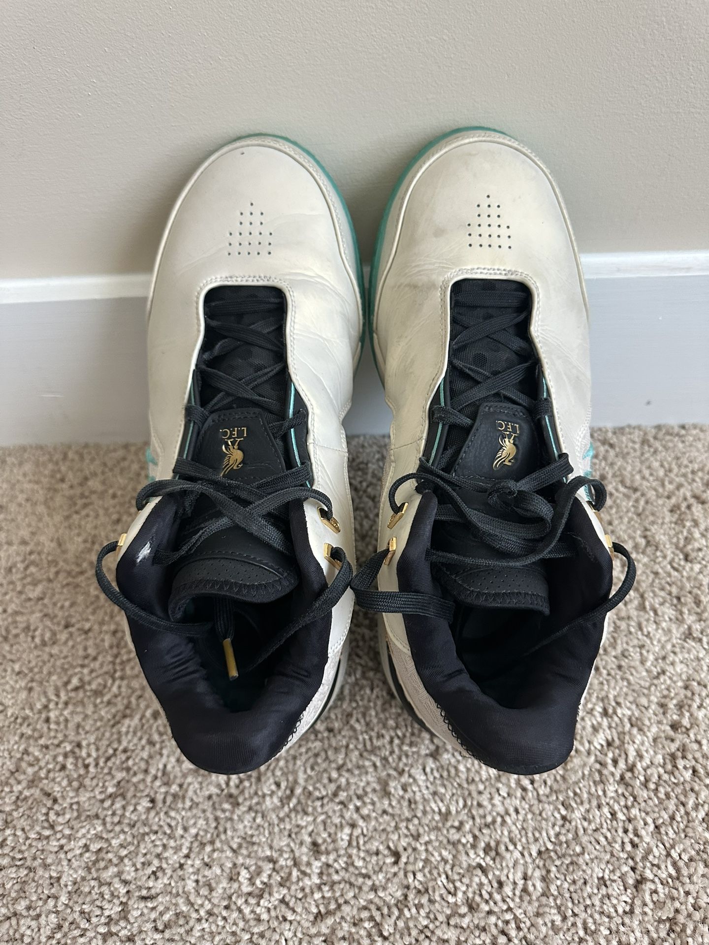 Nike Zoom LeBron NXXT Gen Amped Light Orewood Washed [FJ1566-101]