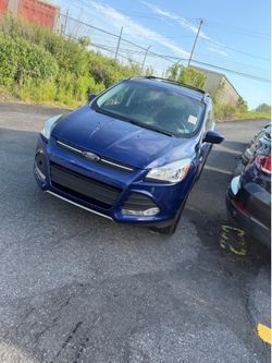 7000 obo