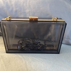 Clear purse