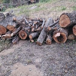 Firewood, At Least A Truckload $50