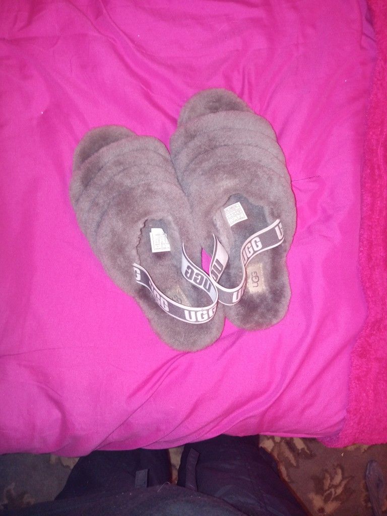 Gray Uggs